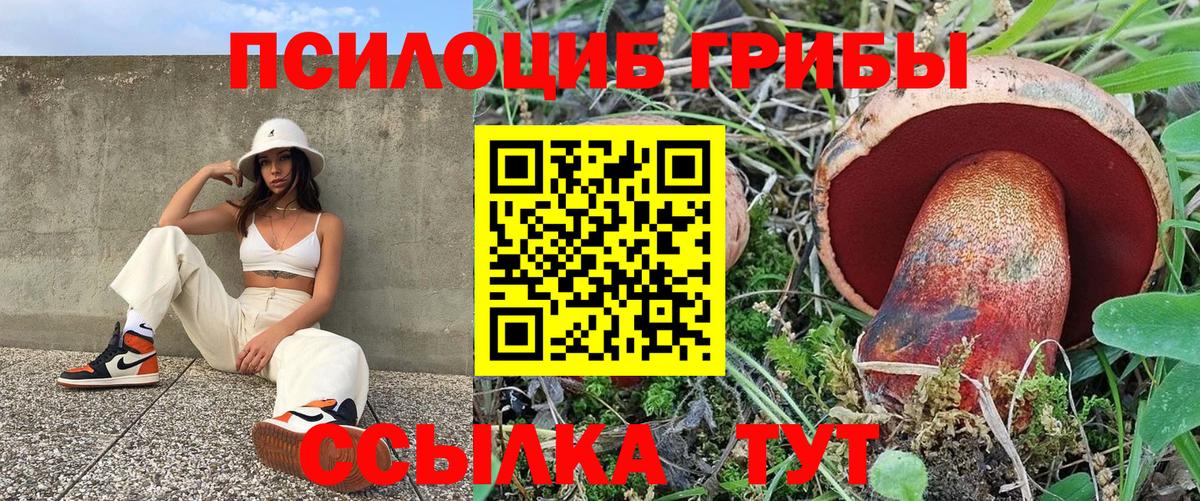 Псилоцибиновые грибы Psilocybe  Вход с VPN  Алапаевск 